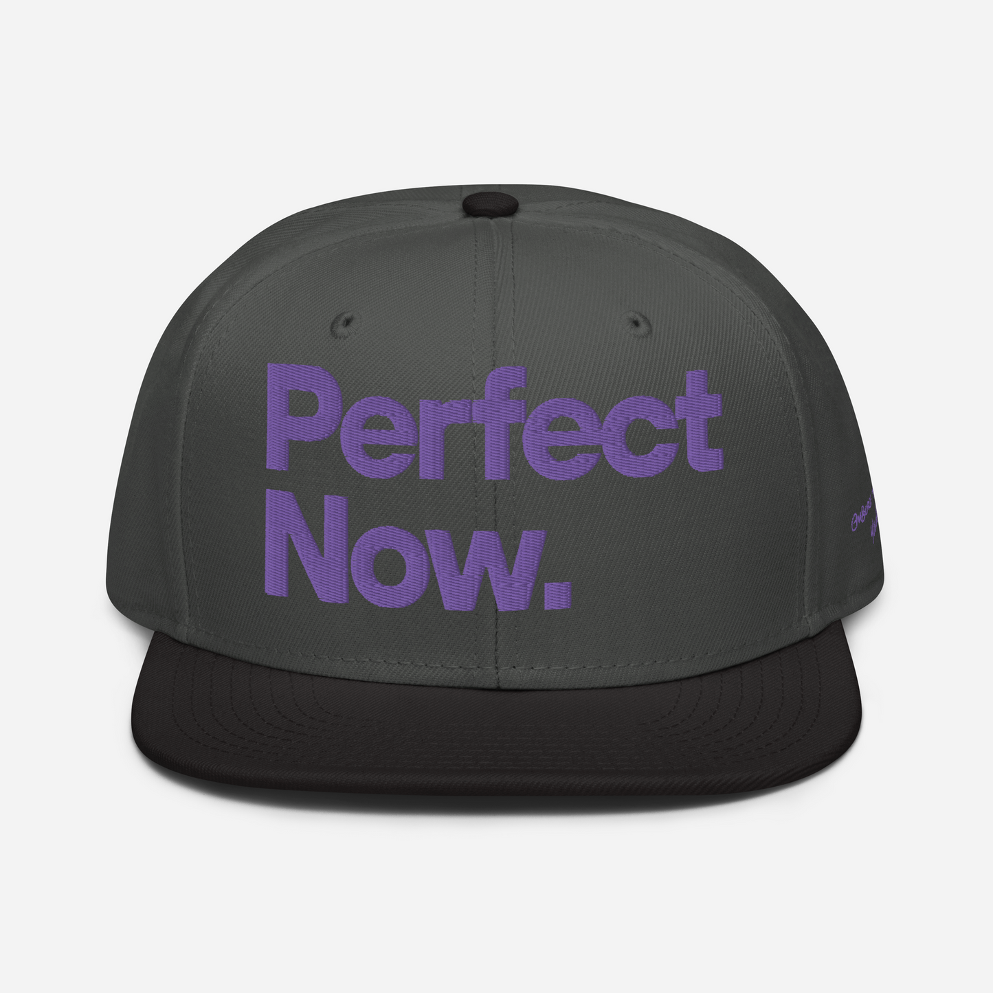 PERFECT NOW Snapback Hat