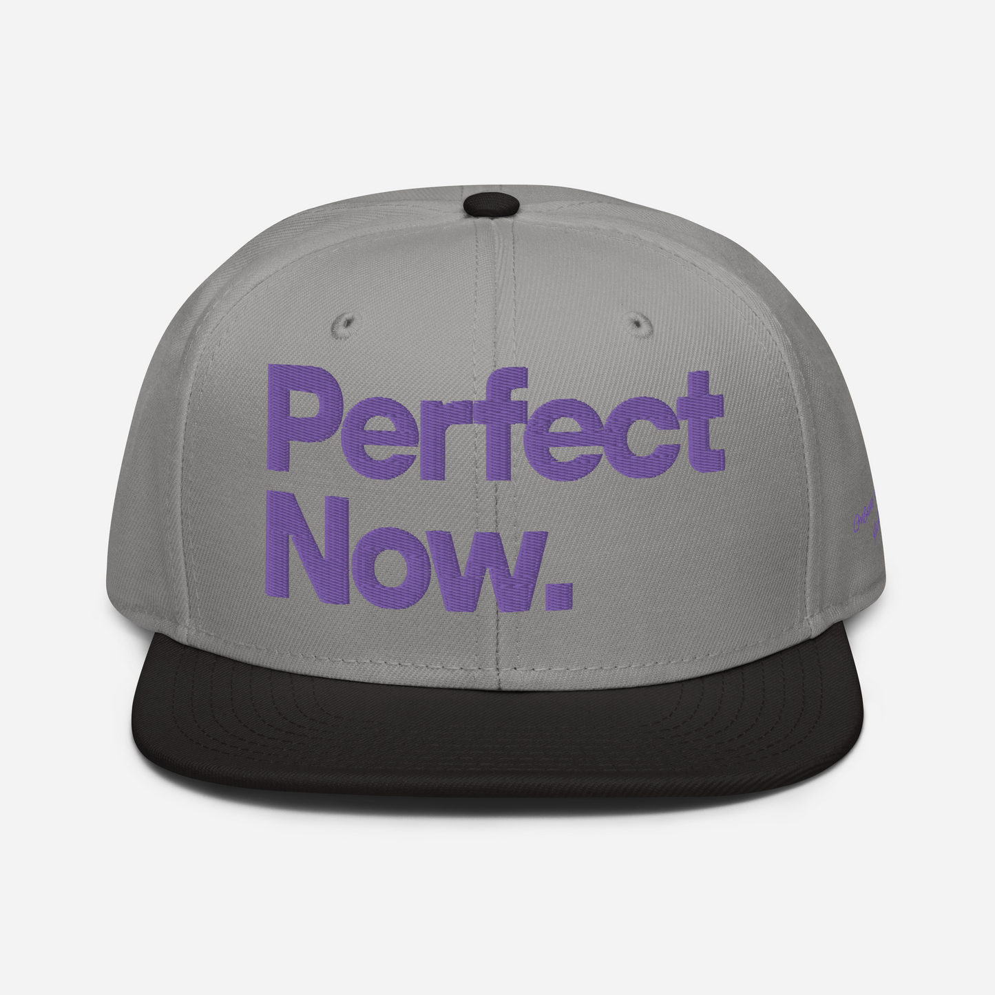 PERFECT NOW Snapback Hat