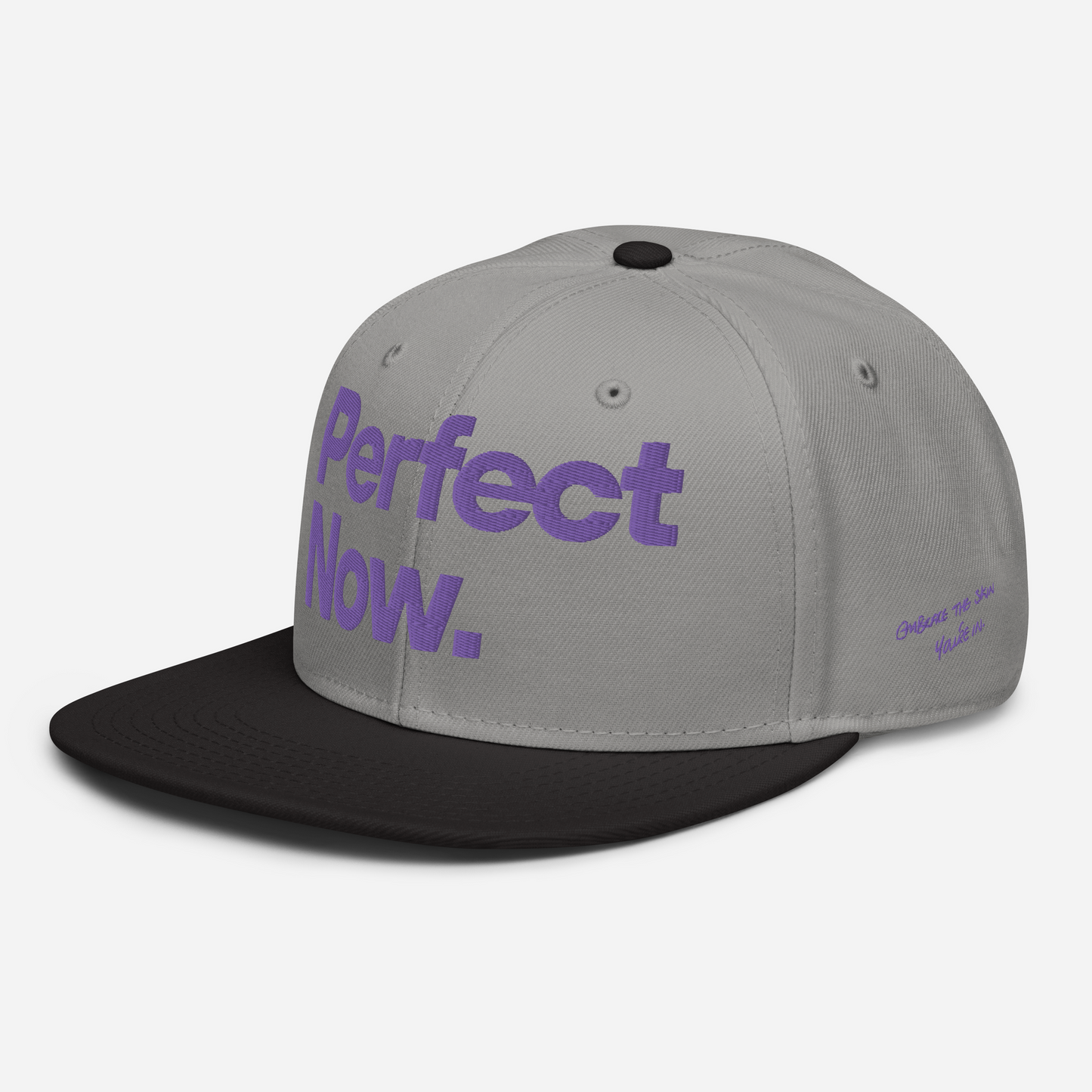 PERFECT NOW Snapback Hat