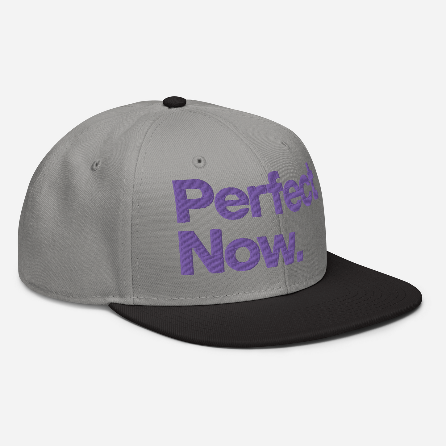 PERFECT NOW Snapback Hat