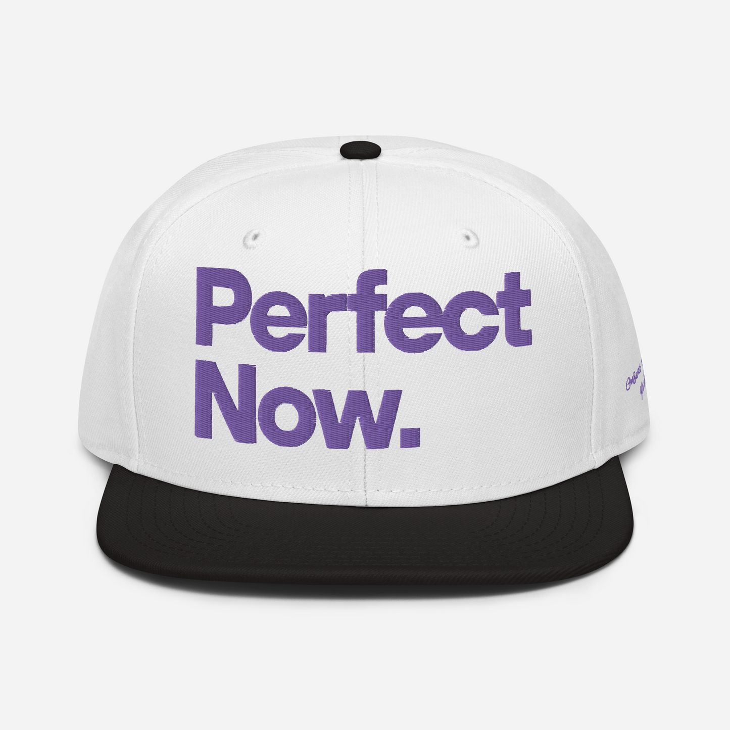 PERFECT NOW Snapback Hat