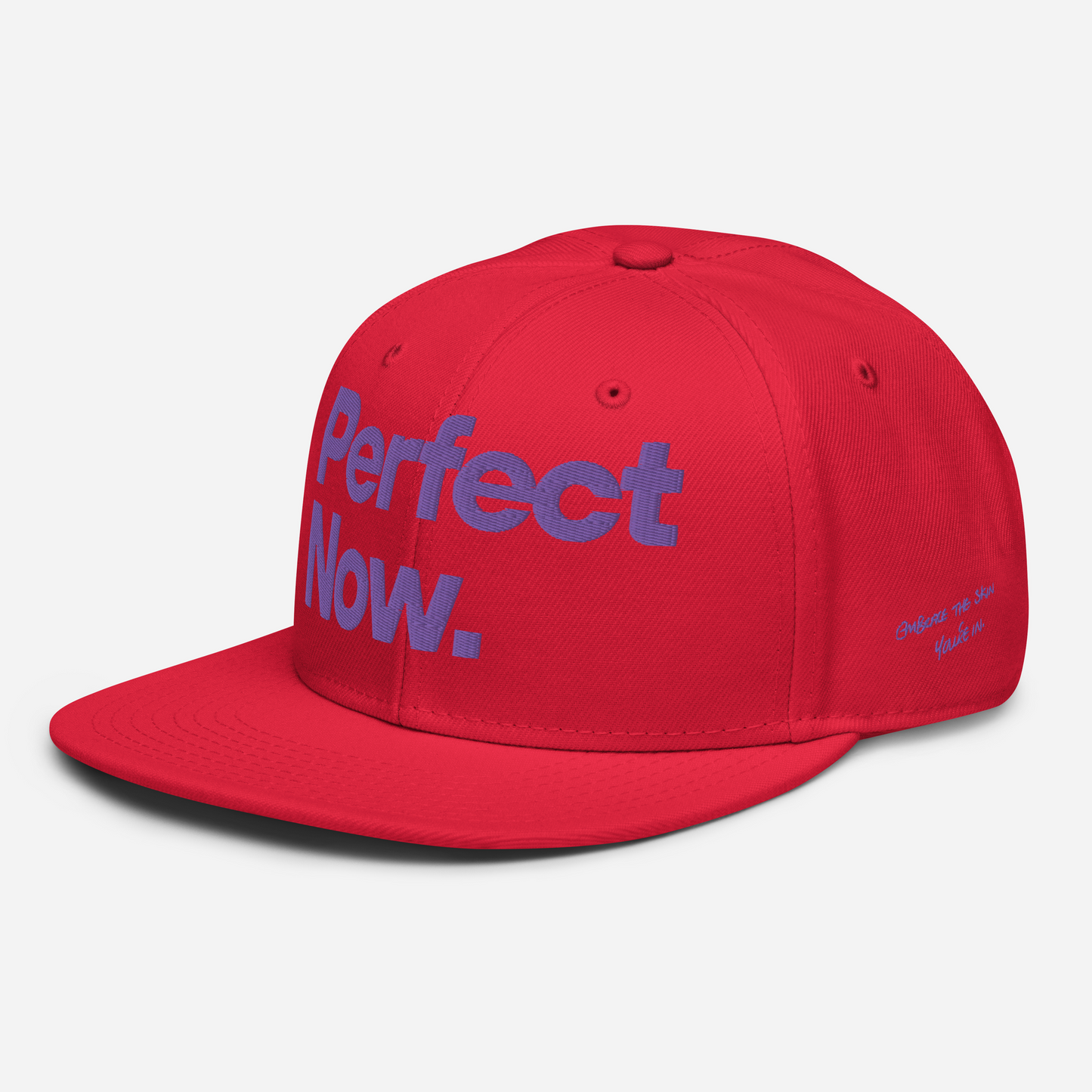 PERFECT NOW Snapback Hat