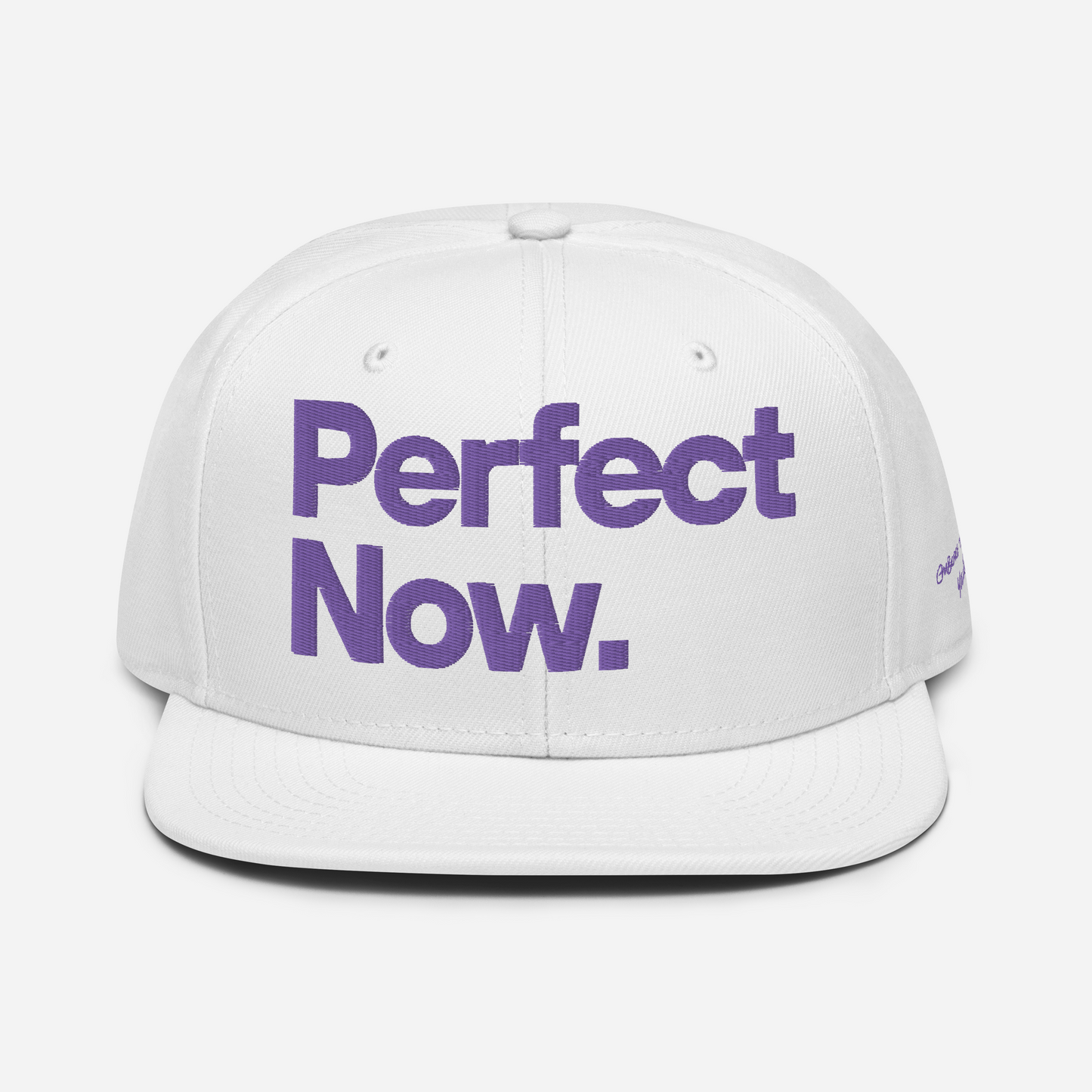PERFECT NOW Snapback Hat